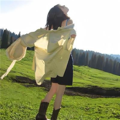 档案风暴