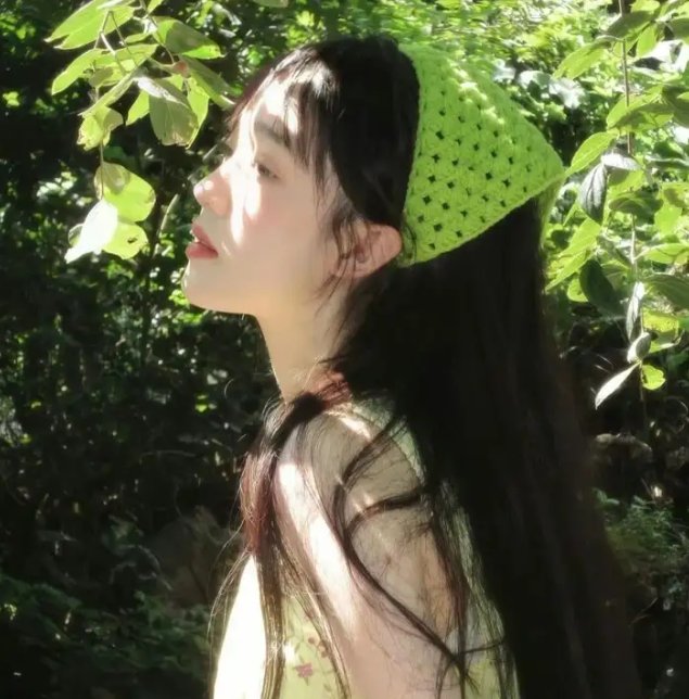 动物频道
